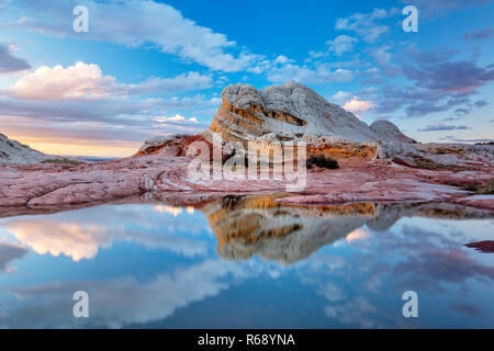 Réflexions, falaises de grès blanc, poche, Vermillion Cliffs National Monument, Arizona, Plateau Paria Banque D'Images