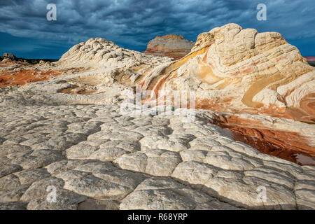 Falaises de grès blanc, poche, Vermillion Cliffs National Monument, Arizona, Plateau Paria Banque D'Images