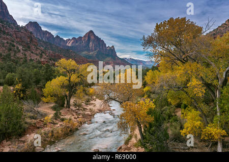 Virgin River, peupliers, la Sentinelle, Zion National Park, Utah Banque D'Images