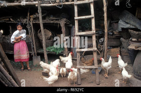 Le nord de la Chine 1980 située dans Waoning Province jeune fille parmi les poulets tenant un gros lapin Banque D'Images