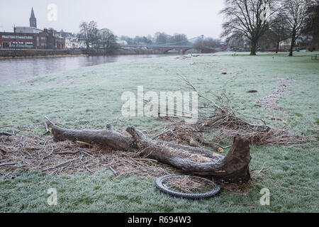 Vue de Millgreen dans le centre-ville de Dumfries, avec les débris des récentes inondations gisant toujours sur l'herbe et la rivière Nith au loin. Banque D'Images