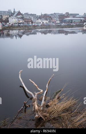 Vue sur le bois flotté sur la rivière Nith à Whitesands, centre-ville de Dumfries, par une journée d'hiver froide et brumeuse. Banque D'Images