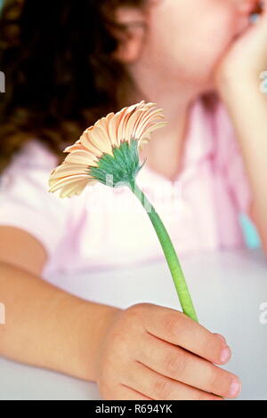 Nahaufnahme, intérieur, 6 Jahre altes Maedchen mit braunen Haaren lockigen haelt eine rosa Blume in der Hand Banque D'Images