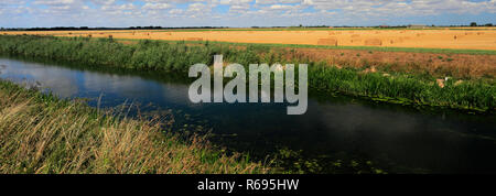 L'été ; Whittlesey Dyke, niveaux près de Bedford village ; Turves ; Fenland Cambridgeshire ; Angleterre ; UK Banque D'Images