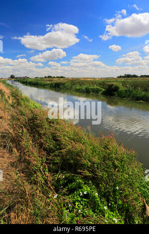 L'été ; la vidange de 20 pieds près de Mars ; Ville ; Fenland Cambridgeshire ; Angleterre ; UK Banque D'Images