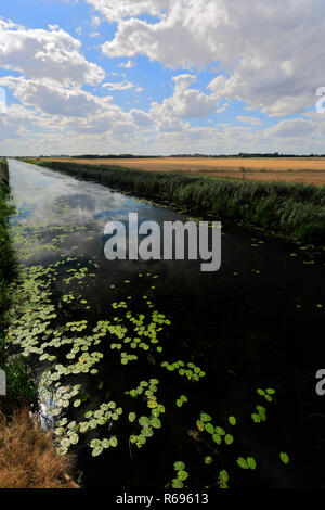 L'été ; la vidange de 20 pieds près de Mars ; Ville ; Fenland Cambridgeshire ; Angleterre ; UK Banque D'Images