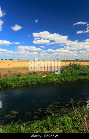 L'été ; Whittlesey Dyke, niveaux près de Bedford village ; Turves ; Fenland Cambridgeshire ; Angleterre ; UK Banque D'Images