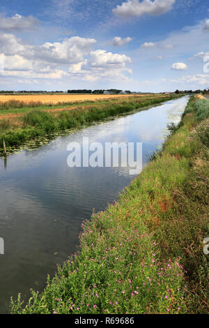 L'été ; Bevills Leam égoutter ; Pondersbridge ; village ; Fenland Cambridgeshire ; Angleterre ; UK Banque D'Images