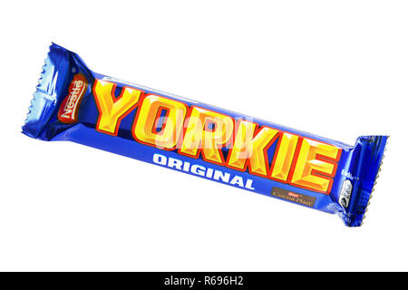 Yorkie Bar Banque D'Images