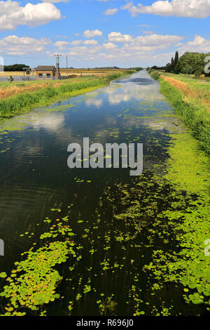 L'été ; la vidange de 20 pieds près de Mars ; Ville ; Fenland Cambridgeshire ; Angleterre ; UK Banque D'Images