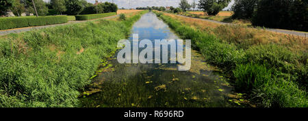 L'été ; Whittlesey Dyke, niveaux près de Bedford village ; Turves ; Fenland Cambridgeshire ; Angleterre ; UK Banque D'Images