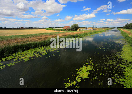 L'été ; la vidange de 20 pieds près de Mars ; Ville ; Fenland Cambridgeshire ; Angleterre ; UK Banque D'Images