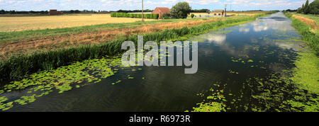 L'été ; la vidange de 20 pieds près de Mars ; Ville ; Fenland Cambridgeshire ; Angleterre ; UK Banque D'Images