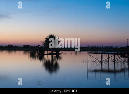 Palmier et passerelle à un lac au crépuscule Hardap Namibie Banque D'Images