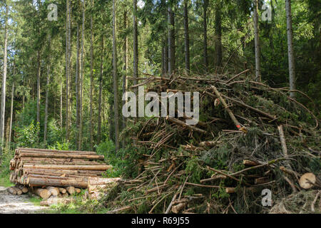 La foresterie est un exemple de sciage et branches empilées Banque D'Images