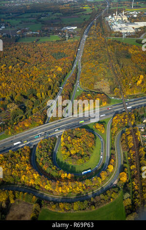 Vue aérienne de l'autoroute, Bottrop, autoroute A2, autoroute A31, Friesenspieß, feuillage de l'automne, forêt d'automne, Eigen, Bottrop Banque D'Images