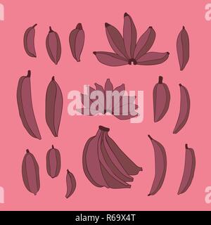 De délicieux aliments dessinés à la main, couleur rouge jeu banane isolé sur fond rose bouquet de fruits à partir de minuscules petites à grande collection d'éléments de conception vectorielle Illustration de Vecteur