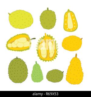 Les fruits tropicaux exotiques Jackfuit main jeu doodle croquis design elements de vie saine des aliments en été Vector illustration isolated on white backg Illustration de Vecteur