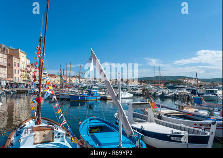 Bateaux de pêche dans le port, Saint-Tropez, Var, Provence-Alpes-Côte d'Azur, France, Europe Banque D'Images