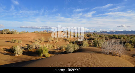 L'Iran, les dunes de sable Orange par le Mesr oasis sur le Dasht-e Kavir désert près de Khur city Banque D'Images