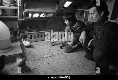 Éleveur de pigeon avec son fils le 20 décembre 1977 à Bottrop. Dans le monde d'utilisation | Banque D'Images