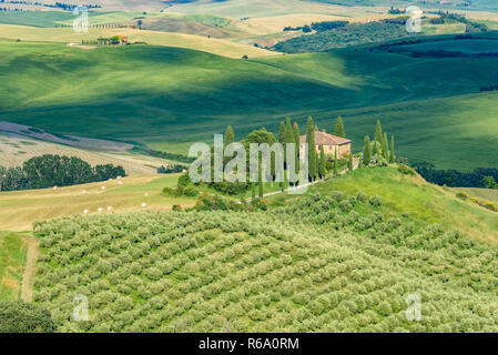 Paysage paysage de Toscane en Italie, avec des cyprès et des arbres avec de belles couleurs de jour d'été, destination de voyage en Europe Banque D'Images