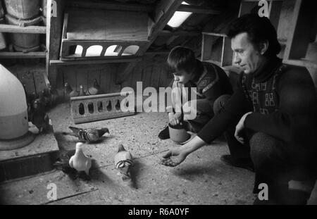 Éleveur de pigeon avec son fils le 20 décembre 1977 à Bottrop. Dans le monde d'utilisation | Banque D'Images