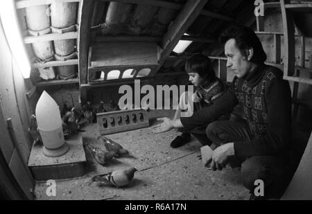 Éleveur de pigeon avec son fils le 20 décembre 1977 à Bottrop. Dans le monde d'utilisation | Banque D'Images