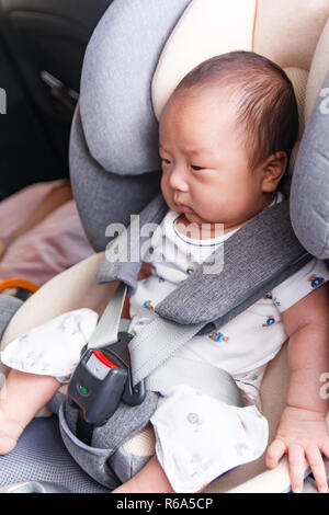 Petit bébé enfant attaché avec la ceinture de sécurité en voiture de sécurité conducteur Banque D'Images