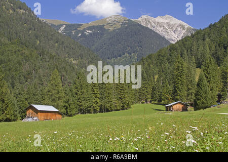 Heu Hut au milieu d'une prairie de montagne en fleurs avec sommet Karwendel près de Mittenwald Banque D'Images