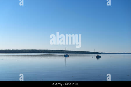 Aperçu de l'ensemble des deux bateaux amarrés sur Penobscot Bay à Searsport avec algues flottant à l'avant-plan. Banque D'Images