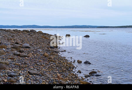 Côte Rocheuse sur Sears Island à Bar Harbor, Maine le couvert d'une journée d'été. Banque D'Images