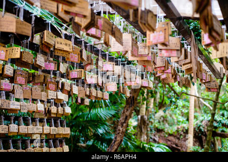 Les plaques votives de l'Ema à l'afv, Miyazaki Shrine, Miyazaki Prefecture, Japan Banque D'Images