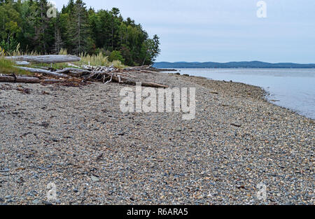 Une plage de gravier sur la rive de l'île de Sears à Bar Harbor, Maine le couvert d'une journée d'été. Banque D'Images