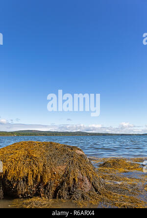 Rochers et un grand rocher avec algues flottantes lors d'une marée montante de la côte de l'île de Sears dans le Maine avec port de Stockton dans la distance sur Banque D'Images