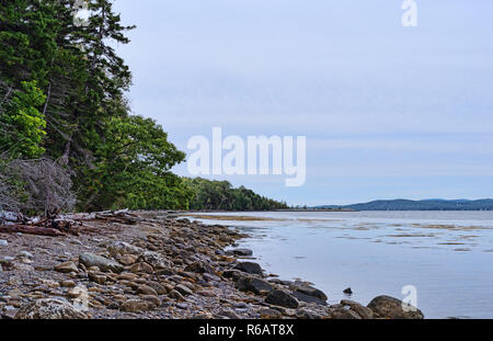 Pier lointain demeure à l'île de Sears à Bar Harbor, Maine le couvert d'une journée d'été. Banque D'Images
