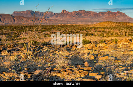 Plus de montagnes Chiso Désert de Chihuahuan au lever du soleil, vue de Rio Grande Village Drive, Big Bend National Park, Texas, États-Unis Banque D'Images