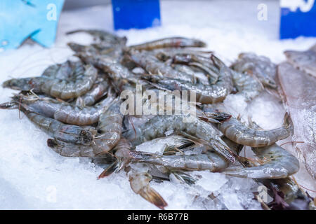 Crevettes jumbo frais sur la glace sur les fruits de mer afficher au supermarché Banque D'Images