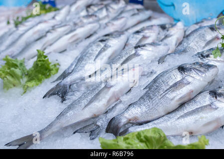 Loup de mer frais et de la glace sur la mer de brème de fruits de mer d'affichage de supermarché Banque D'Images