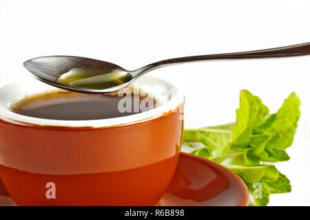 Le Stevia Rebaudiana Le soutien de fines herbes pour le sucre Banque D'Images