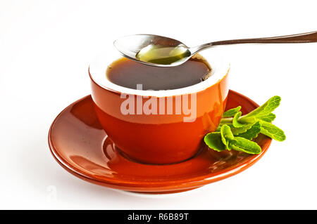 Le Stevia Rebaudiana Le soutien de fines herbes pour le sucre Banque D'Images