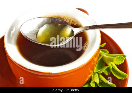 Le Stevia Rebaudiana Le soutien de fines herbes pour le sucre Banque D'Images