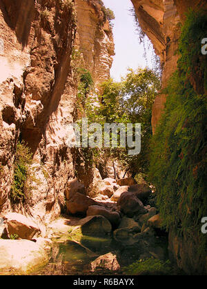 Avakas (AVGAS) Gorge, district de Paphos, Chypre : ravin et verticale des murs de pierre avec piscine dans les rochers, Banque D'Images