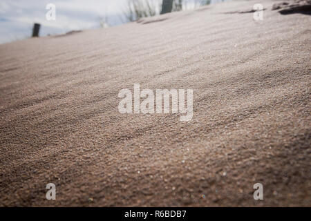 Magnifique photo sur la côte néerlandaise, avec la bande de dunes de sable sur un jour de tempête de vent, soleil. Le balancement de l'herbe des dunes et des dunes de sable Banque D'Images
