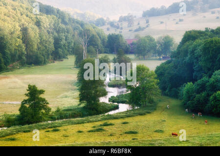 La rivière Brenz dans Eselsburger Eselsburger la vallée (TAL) sur un matin d'été ensoleillé Banque D'Images