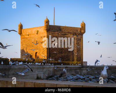 Tôt le matin dans le port de pêche d'Essaouira, Maroc Banque D'Images