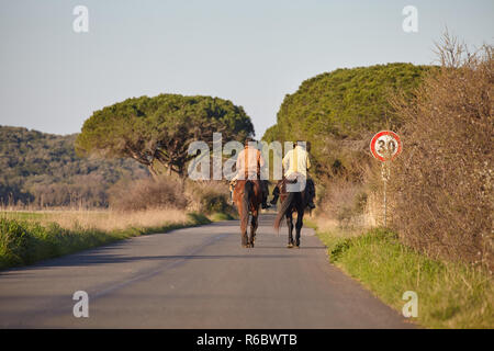 Cowboy italien Butteri Maremma toscane, , Banque D'Images