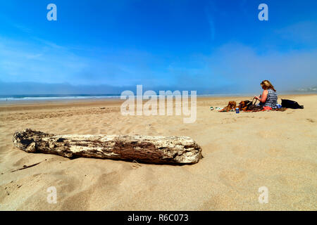Bois flotté sur la plage de Woolacombe en Amérique du Devon, en Angleterre. Banque D'Images