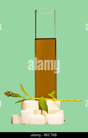 Le Stevia Rebaudiana Le soutien de fines herbes pour le sucre Banque D'Images