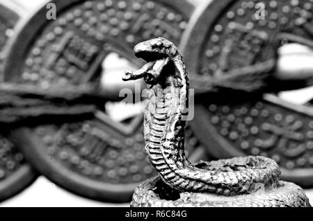 Le Feng Shui de l'année du Serpent Banque D'Images